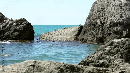 An elderly man swims between rocks in the sea, looking at fish and shells