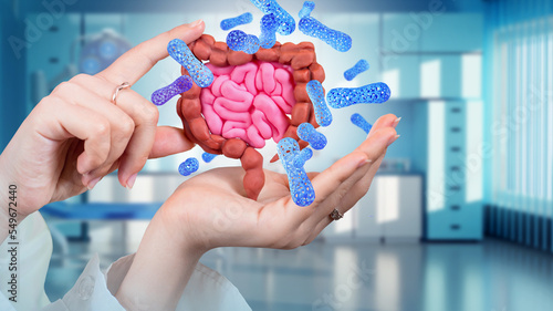 Obraz na plátně Model intestinal tract