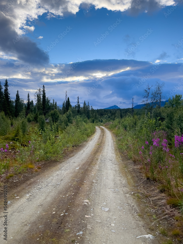 Forstweg mit Blick auf das Marsfjäll in Västerbotten, Schweden