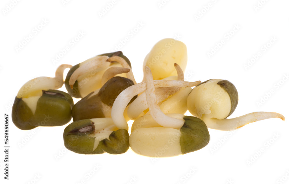 sprouted mung bean isolated
