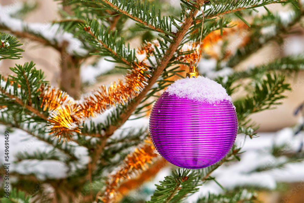 Christmas decorations on a coniferous tree