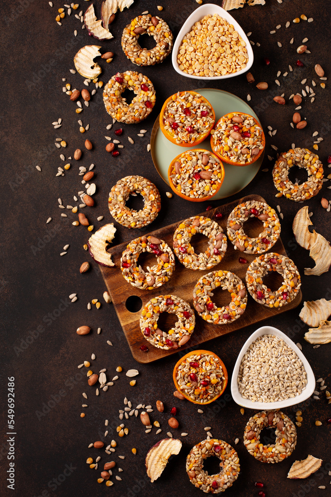 Fototapeta premium Homemade birdseed dumplings, winter food for birds, dark wooden background, top view.