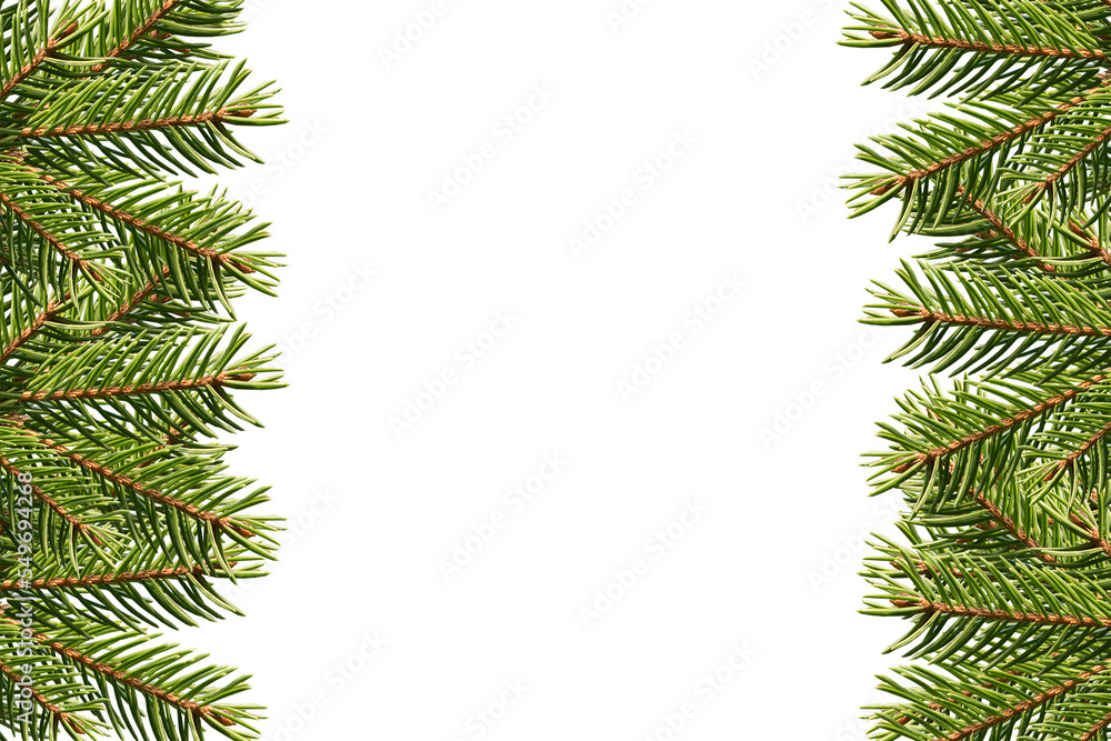 Holiday christmas frame with green tree branches on transparent background Holiday christmas frame with green tree branches on transparent background