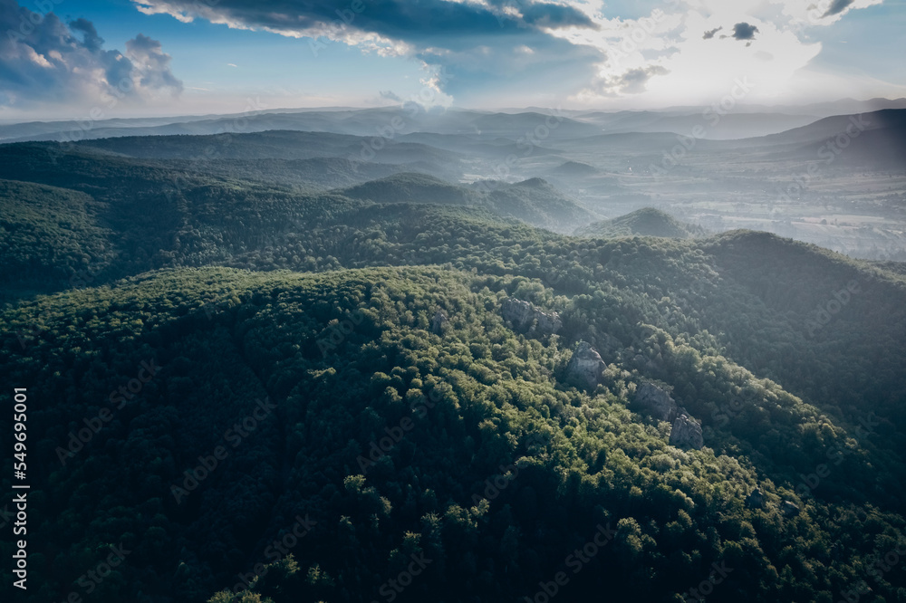 Aerial top view forest tree, Rainforest ecosystem and healthy environment concept and background, Texture of green tree forest view from above Aerial top view forest tree, Rainforest ecosystem and healthy environment concept and background, Texture of green tree forest view from above