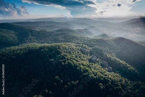 Aerial top view forest tree, Rainforest ecosystem and healthy environment concept and background, Texture of green tree forest view from above