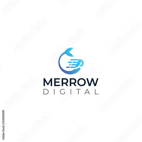 Mermaid  merrow digital logo design