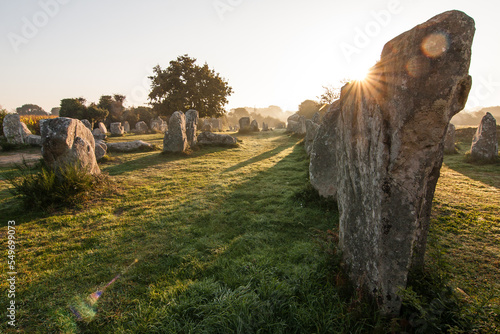 Alignements de Menhirs à Kerzhero à Erdeven dans le Morbihan