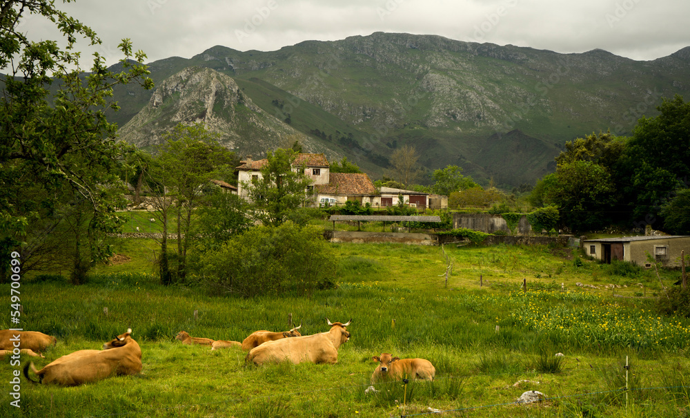 Countryside in Llanes, Asturias, Spain