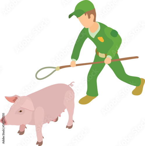 Pig catching icon isometric vector. Man with noose for trapping domestic animal. Agriculture, animal husbandry