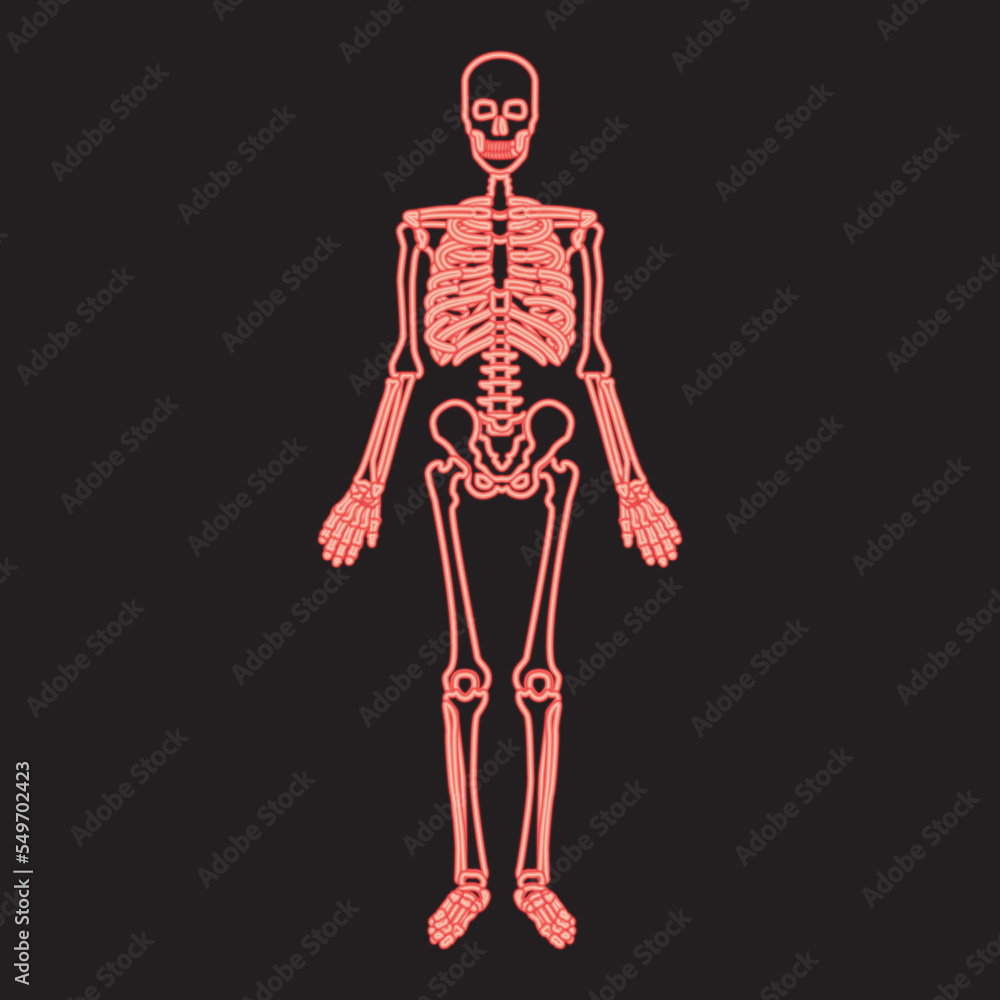 Neon human skeleton red color vector illustration image flat style