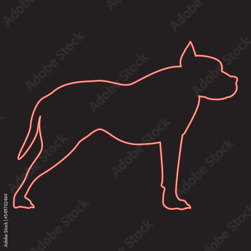 Neon pit bull terrier red color vector illustration image flat style