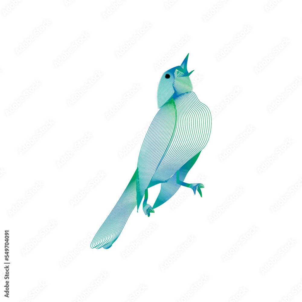 bird of paradise beautiful bird design cover model bird of paradise beautiful bird design cover model