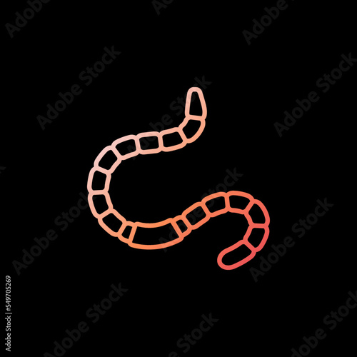 Worm linear vector concept colorful icon - Earthworm sign