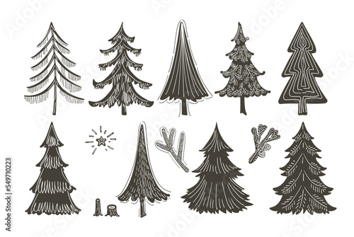 Christmas trees and Quote. Hand drawn set of spruce. Holidays background and Greetings card. Abstract doodle drawing woods, spruce. Vector sketch simple line illustration.