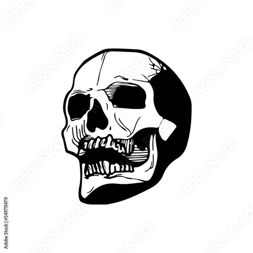 detailed skull silhouette vector illustration