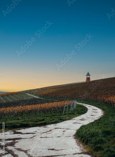 Landscape picture of the Burgunderturm while a sunset