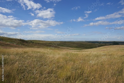 Scenic view of a field with long yellow grass and hills under the cloudy sky