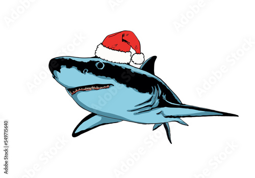 Graphical color shark in Santa Claus red hat on white isolated, blue magalodon. Vector illustration,marine life