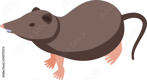 Small shrew icon isometric vector. African animal. Mammal mouse photo
