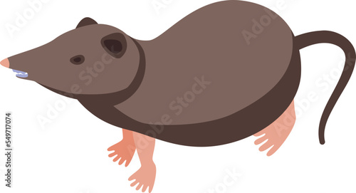 Small shrew icon isometric vector. African animal. Mammal mouse