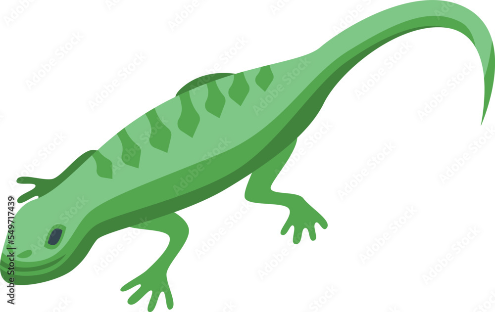 Obraz premium Green reptile icon isometric vector. Lizard frog. Iguana wild