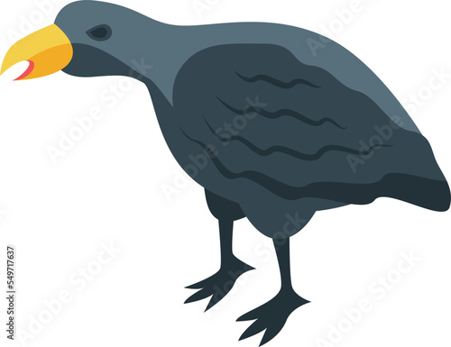 Raven bird icon isometric vector. Crow flight. Nature animal