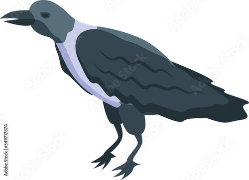 Fauna crow icon isometric vector. Raven bird. Nature beak