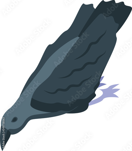 Raven icon isometric vector. Crow bird. Nature animal