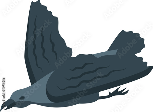 Flying bird icon isometric vector. Raven feather. Nature horror
