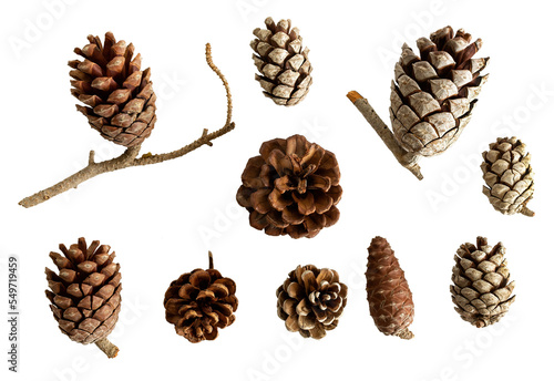 A collection of small pine cones for Christmas tree decoration isolated. photo
