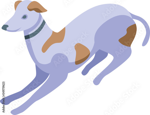 Sprint dog icon isometric vector. Pet animal. Canine domestic