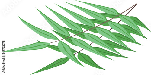 Koala leaf food icon isometric vector. Cute bear. Art design