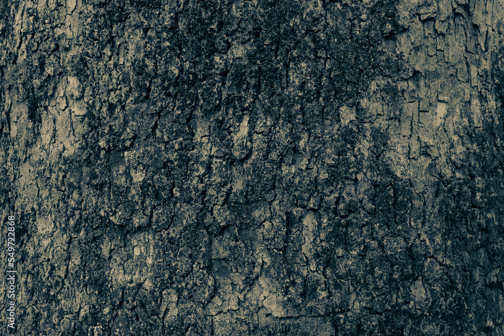 Picturesque dark bark background, close-up. Natural skin. Relief texture of tree trunk for publication, screensaver, wallpaper, postcard, poster, banner, cover, website. High quality photo