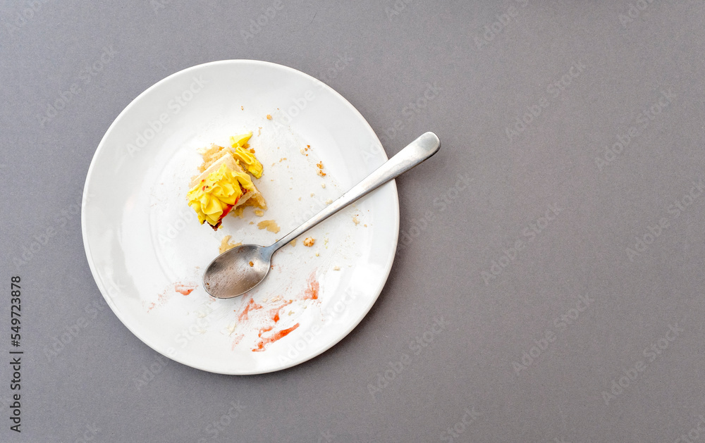 Slice of cake with cream as food leftover on a white ceramic plate, top view Slice of cake with cream as food leftover on a white ceramic plate, top view