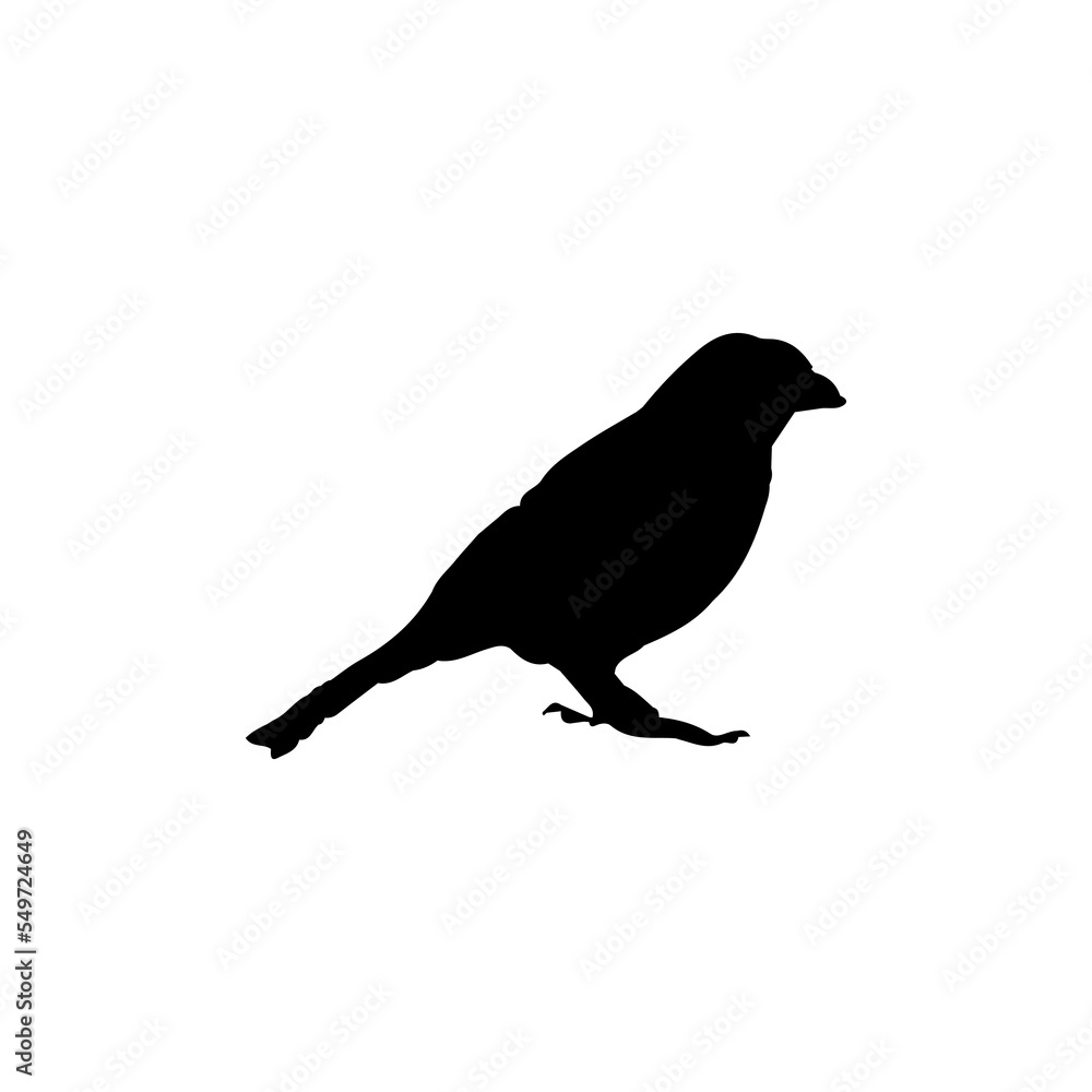 Bird icon. Simple style nature travel big sale poster background symbol. Bird brand logo design element. Bird t-shirt printing. Vector for sticker. Bird icon. Simple style nature travel big sale poster background symbol. Bird brand logo design element. Bird t-shirt printing. Vector for sticker.