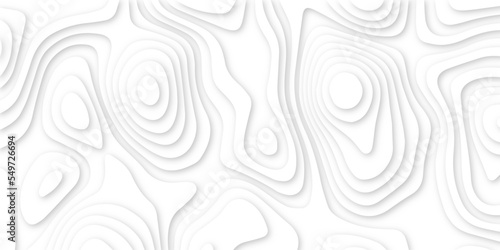 Abstract white 3d papercut topography relief. Abstract papercut and multi layer cutout geometric pattern on vector, Abstract soft white background with waves, textured Papercut.	