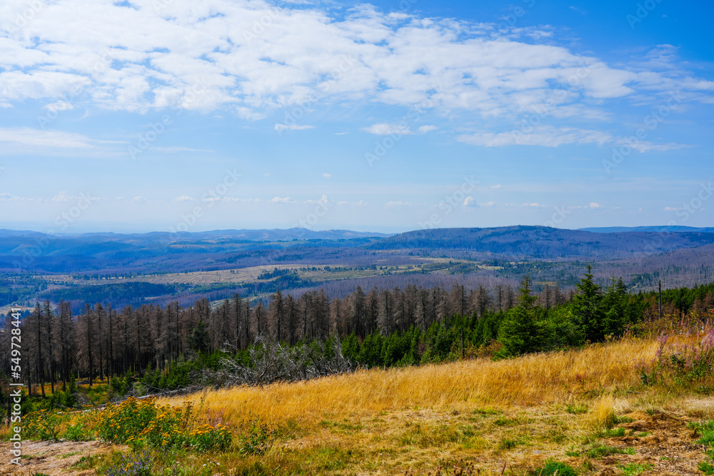 View of the surrounding landscape from the Wurmberg in the Harz mountains.
