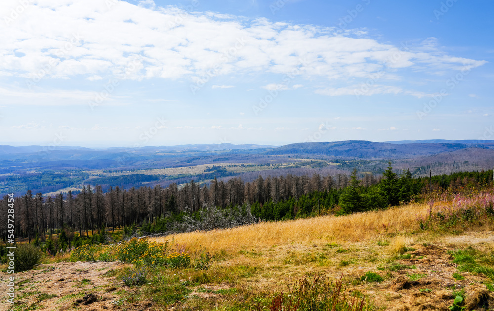 View of the surrounding landscape from the Wurmberg in the Harz mountains.
