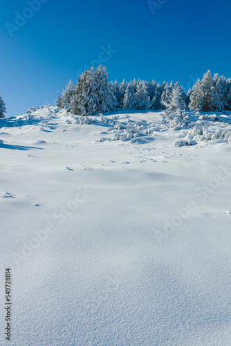 Wallpaper Mural Winter landscape of Vitosha Mountain, Bulgaria Torontodigital.ca