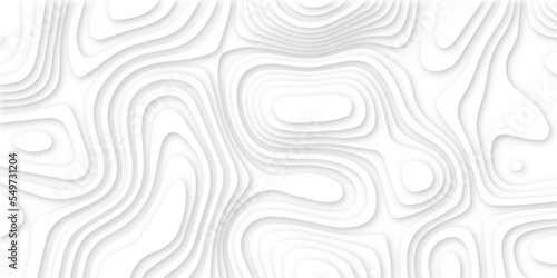 Abstract white 3d papercut topography relief. Abstract papercut and multi layer cutout geometric pattern on vector, Abstract soft white background with waves, textured Papercut.	