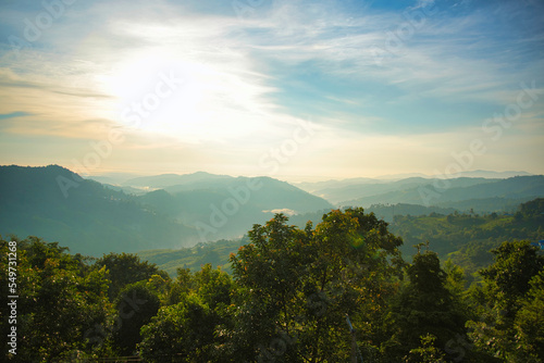 早朝の青々と茂る大自然の山間部風景 タイ・チェンライ