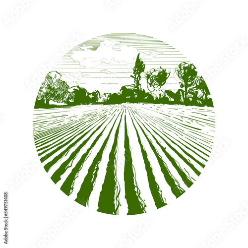 Vector farm field landscape. Furrows pattern in a plowed prepared for crops planting. Vintage realistic engraving sketch illustration.