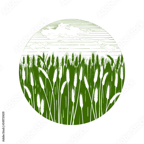 field of wheat. Ears of cereal. Rural landscape panorama. Hand drawn black silhouette illustration. Countryside engraving