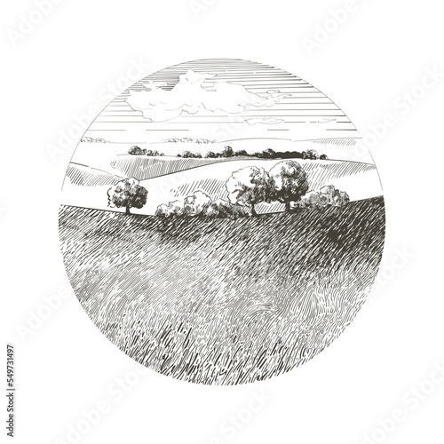 Green grass field on small hills. Meadow, alkali, lye, grassland, pommel, lea, pasturage, farm. Rural scenery landscape panorama of countryside pastures. illustration