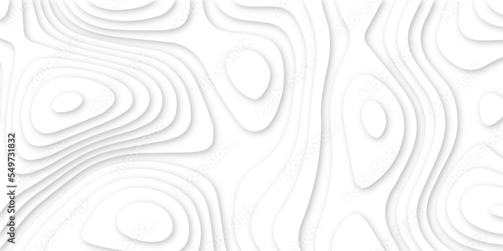 Abstract white 3d papercut topography relief. Abstract papercut and multi layer cutout geometric pattern on vector, Abstract soft white background with waves, textured Papercut. Abstract white 3d papercut topography relief. Abstract papercut and multi layer cutout geometric pattern on vector, Abstract soft white background with waves, textured Papercut.