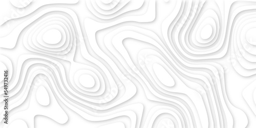 Abstract white 3d papercut topography relief. Abstract papercut and multi layer cutout geometric pattern on vector, Abstract soft white background with waves, textured Papercut.	