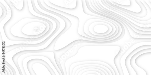 Abstract white 3d papercut topography relief. Abstract papercut and multi layer cutout geometric pattern on vector, Abstract soft white background with waves, textured Papercut.	