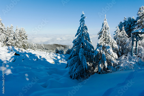 Winter landscape of Vitosha Mountain, Bulgaria photo