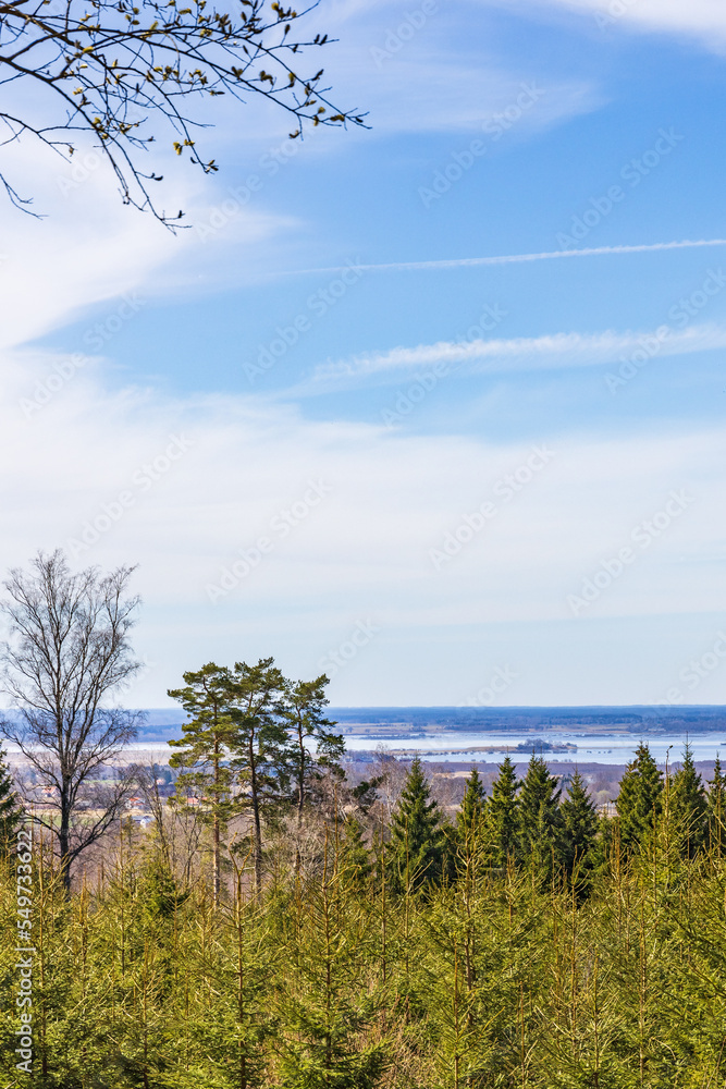 Landscape view from a forest on a sunny spring day Landscape view from a forest on a sunny spring day