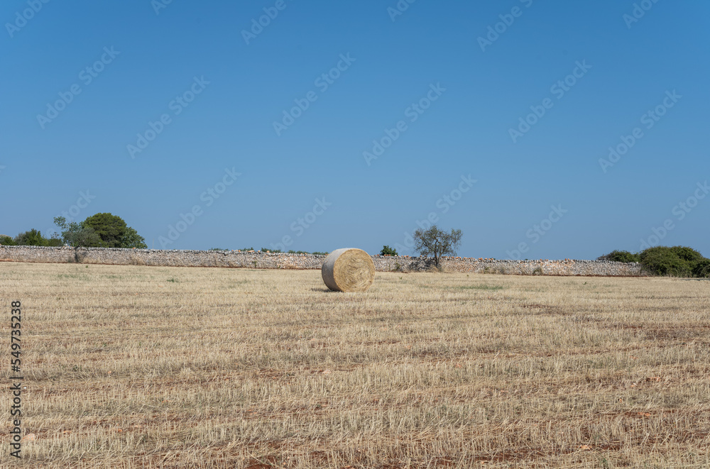 Fototapeta premium Paysage de campagne, Pouilles, Italie